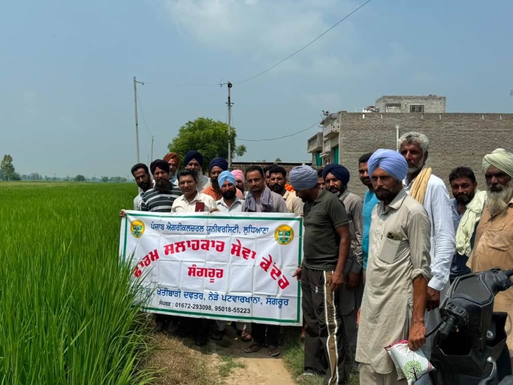 PAU organized a demonstration camp to reduce the incidence of scab in paddy at village Sangatpura